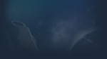 * Drift | Steam РУ+UA+KZ+СНГ*
