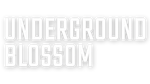 * Underground Blossom | Steam РУ+UA+KZ+СНГ*