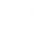* Life Gallery | Steam РУ+UA+KZ+СНГ*