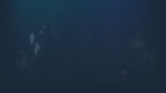 * Finding Xavier | Steam РУ+UA+KZ+СНГ*