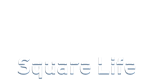 * Square Life | Steam РУ+UA+KZ+СНГ*