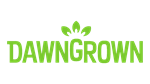 * Dawngrown | Steam РУ+UA+KZ+СНГ*
