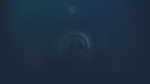 * MeiQi 2023 | Steam РУ+UA+KZ+СНГ*