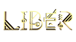 * LiBER | Steam РУ+UA+KZ+СНГ*