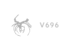 * V696 | Steam РУ+UA+KZ+СНГ*