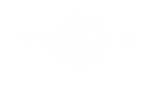 * Runewaker | Steam РУ+UA+KZ+СНГ*