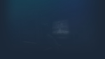 * The LastOnesLeft | Steam РУ+UA+KZ+СНГ*