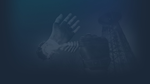 * Wanderer | Steam РУ+UA+KZ+СНГ*
