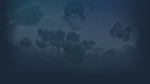 * Ballfrog | Steam РУ+UA+KZ+СНГ*