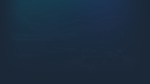 * Bahnsen Knights | Steam РУ+UA+KZ+СНГ*