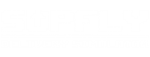 * Supfly Delivery Simulator | Steam РУ+UA+KZ+СНГ*