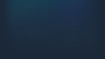 * ROTTK XIV-Digital DX Edition | Steam Россия *