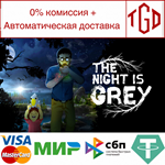 * The Night is Grey | Steam РУ+UA+KZ+СНГ*