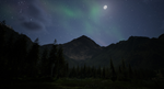 * Wilderness | Steam РУ+UA+KZ+СНГ*