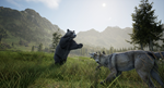 * Wilderness | Steam РУ+UA+KZ+СНГ*