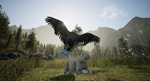 * Wilderness | Steam РУ+UA+KZ+СНГ*
