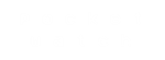 * Pocket Watch | Steam РУ+UA+KZ+СНГ*