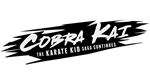 * Cobra Kai: The Karate Kid Saga Continues |Steam РУ+С