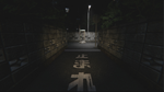 * Akai Onna | Steam РУ+UA+KZ+СНГ*