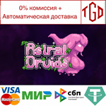 * Astral Druids | Steam РУ+UA+KZ+СНГ*