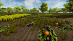 * My Village Life | Steam РУ+UA+KZ+СНГ*