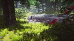 * The Jungle | Steam РУ+UA+KZ+СНГ*