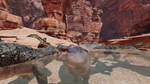 * Food Chain | Steam РУ+UA+KZ+СНГ*