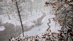 * Chionophile | Steam РУ+UA+KZ+СНГ*