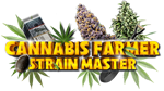 * * Cannabis Farmer Strain Master |Steam РУ+UA+KZ+СНГ