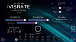 * iVIBRATE Ultimate Edition | Steam РУ+UA+KZ+СНГ*