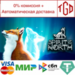 * Spirit of the North | Steam Россия *
