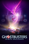 Ghostbusters: Spirits Unleashed Xbox активация