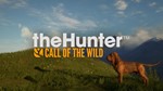*THEHUNTER: CALL OF THE WILD - BLOODHOUND**XBOX*КЛЮЧ