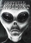 *GREYHILL INCIDENT XBOX ONE/X|S КЛЮЧ
