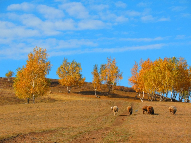 пейзаж. Казахстан, Акмолинская область, г.Кокшетау.