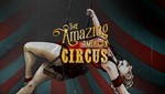 The Amazing American Circus * Steam Region free +*