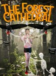 The Forest Cathedral ключ Global RU/CIS РФ Россия стим