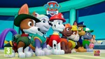 Щенячий патруль Paw Patrol: On A Roll Steam Global +🎁