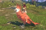 ⭐️ Elyon Red Parrot Mount - KAKAO GAMES Key GLOBAL - irongamers.ru