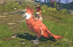 ⭐️ Elyon Red Parrot Mount - KAKAO GAMES Ключ ГЛОБАЛ - irongamers.ru