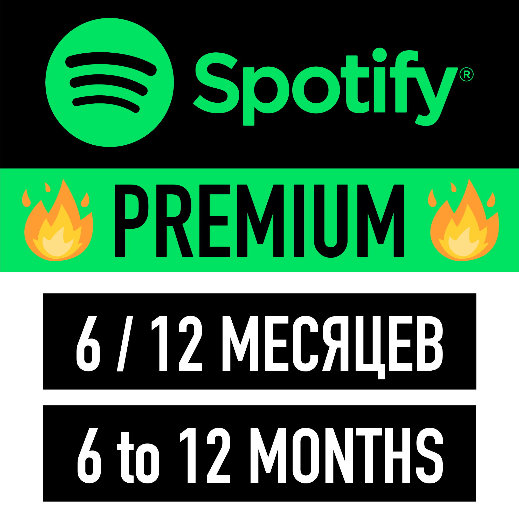 Buy Spotify PREMIUM 6 To 12 Months Work And Download