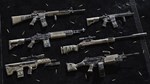 Insurgency: Sandstorm - Worn Veteran Weapon Skin Set