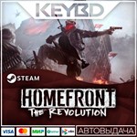 Homefront: The Revolution · Steam Gift🚀АВТО💳0% Карты