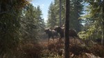 theHunter: Call of the Wild * Steam Gift*АВТО*0%