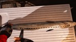 Fishing: Barents Sea * Steam Gift*АВТОДОСТАВКА*0%