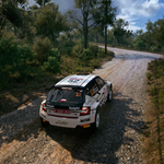 🟥⭐EA SPORTS™ WRC ☑️ ВСЕ РЕГИОНЫ⚡• STEAM 💳 0%
