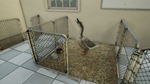 * Animal Doctor Xbox One & Xbox Series X|S активация