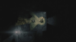 * Darkwood Xbox One & Xbox Series X|S активация