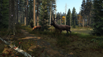 * DayZ Xbox One & Xbox Series X|S активация
