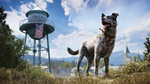* Far Cry* 5 Xbox One & Xbox Series X|S активация